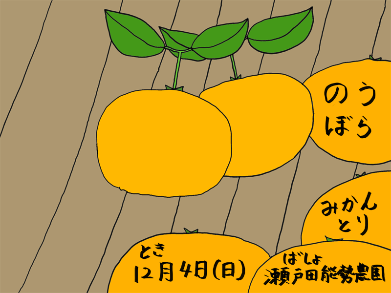 のうぼら・みかんとり